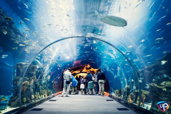 up-dubai-kampi-dubai-mall-7