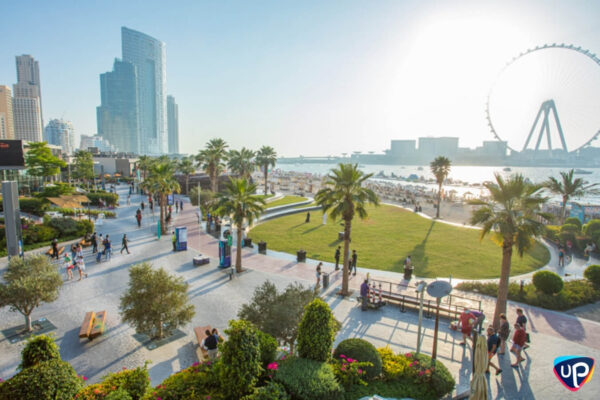 up-dubai-kampi-jbr-beach-7